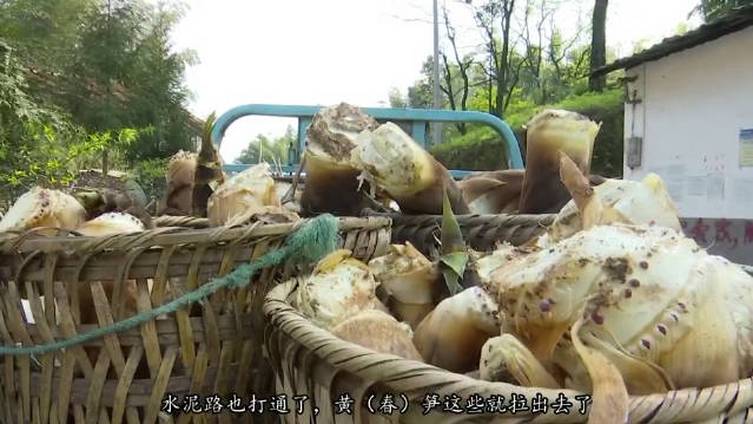 【带货出山如何从四五个小时缩短至20分钟?[得意]】贵州遵义赤水市长期镇五七村以前的公路坑